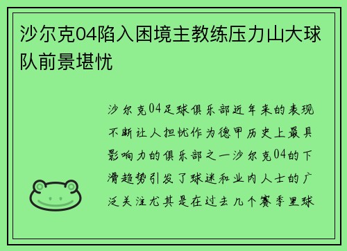 沙尔克04陷入困境主教练压力山大球队前景堪忧